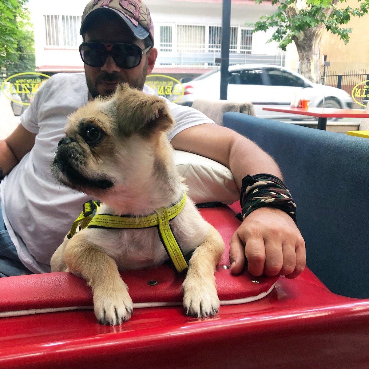 Mutlu bir hafta olsun 🤗