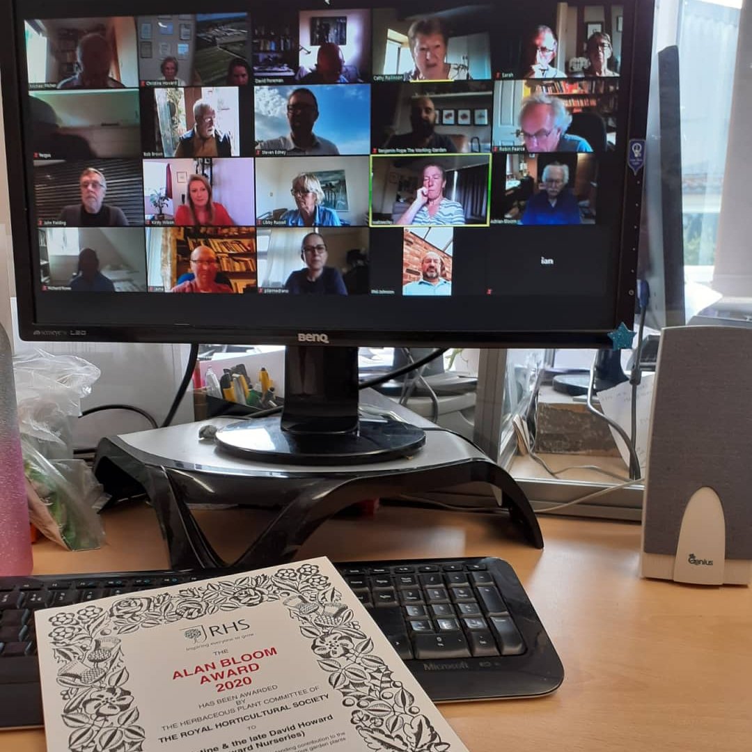 HowardNurseries's tweet photo. RHS Herbaceous Plant Committee @PlantHerbaceous  Zoom presentation today of inaugural Alan Bloom Award 2020
 
Great honor for the late David Howard, Howard Nurseries  and the team. https://t.co/xBQIQv5iGZ
