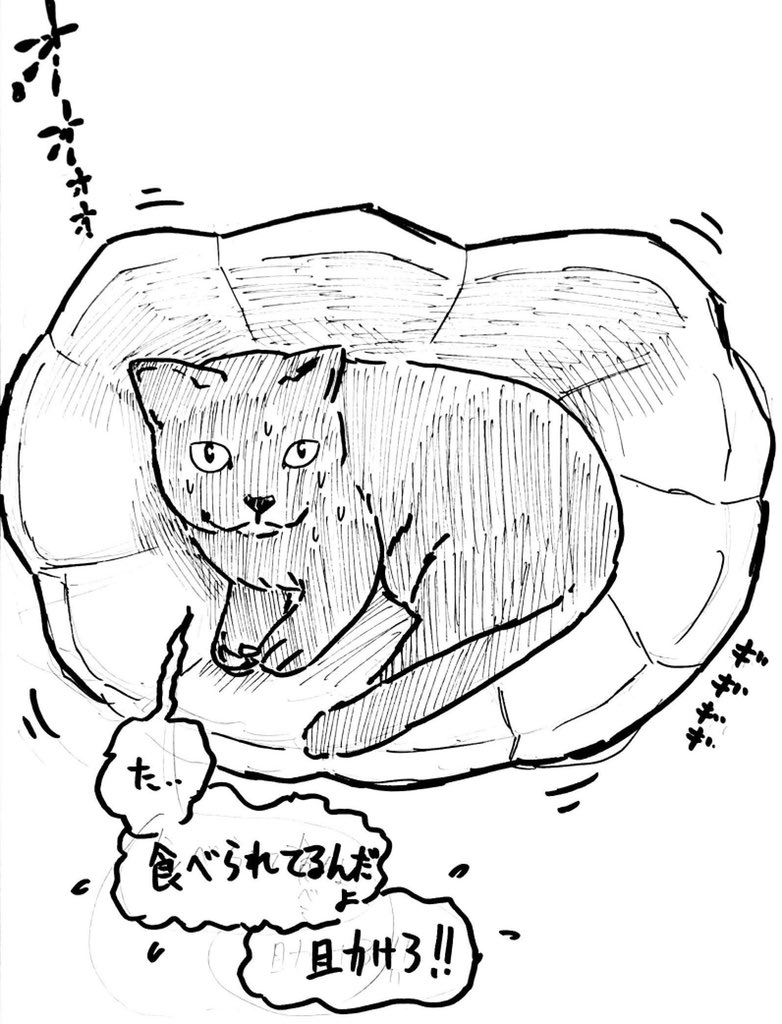 @kyounonekodesu お待たせしました!すっぽり収まってて(食べられてて?)可愛いです!
見せていただきありがとうございます!! 