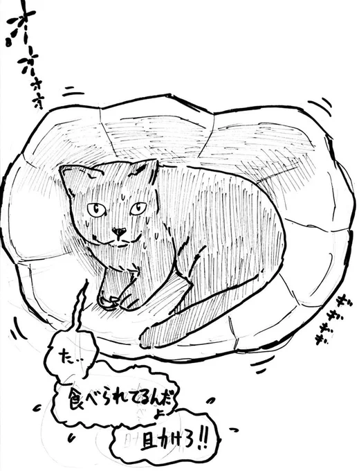 @kyounonekodesu お待たせしました!すっぽり収まってて(食べられてて?)可愛いです!
見せていただきありがとうございます!! 