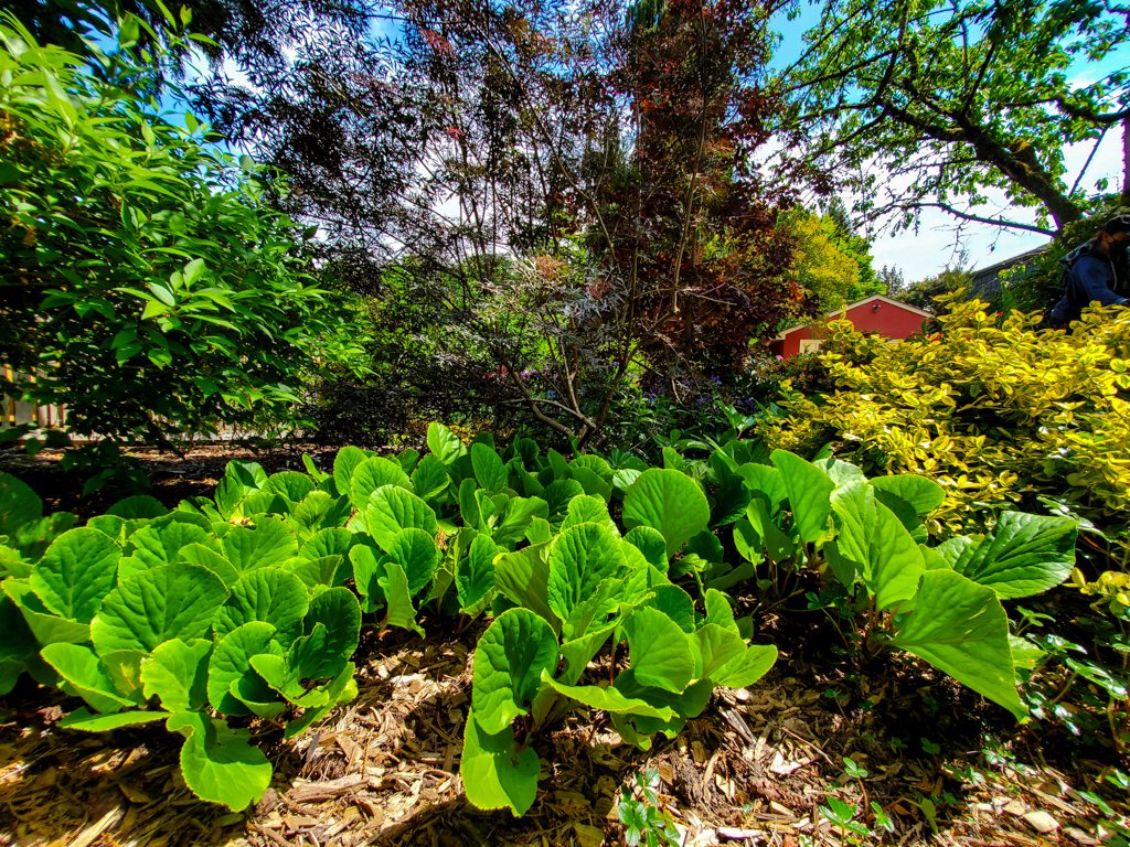 The Peoples Gardening Collective tweet media