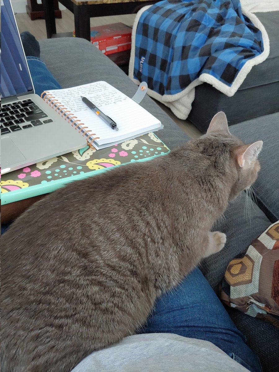 Thor leaves me alone for hours and the minute I start to work, this is where he absolutely needs to sit
#proCATstination https://t.co/Xh4K3dFeCB