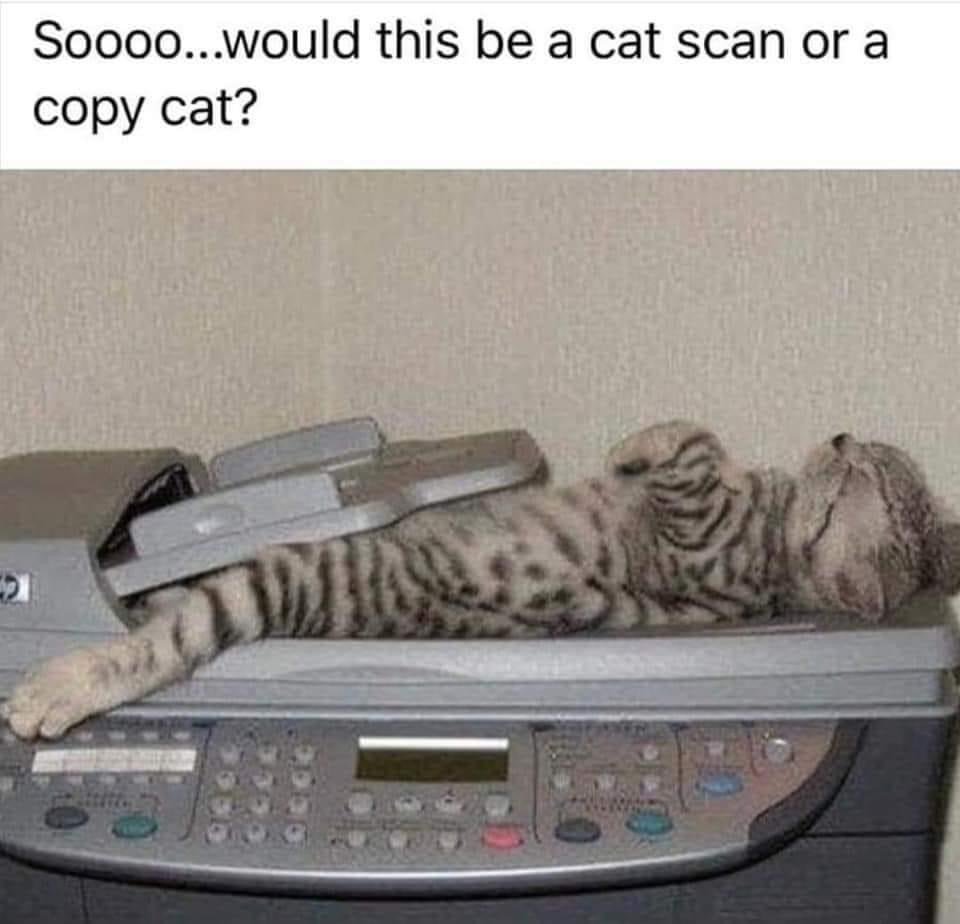 zapsolutions's tweet photo. Happy Monday Zappers! We have a question for yinz, click on the picture to see the picture! #QuestionForYou #Memes #memesdaily #mondayhumor #medtwitter #MedStudentTwitter #catscan #copycat https://t.co/e9YgaPML05