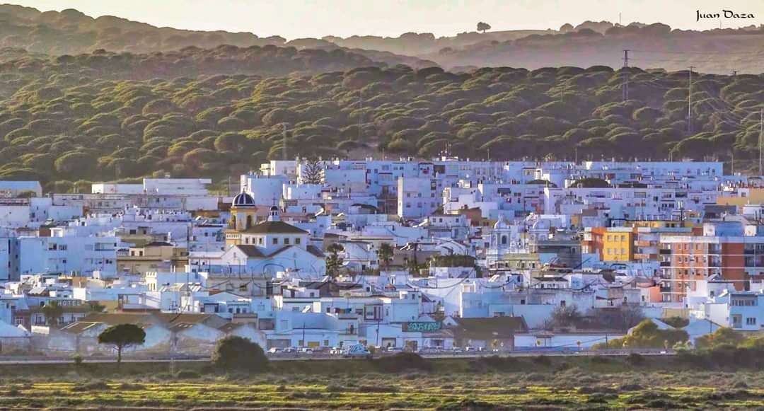 Barbate_Turismo's tweet photo. Hoy os saludamos desde la #playadeloscañillos o #ElBotero, teniendo como estampa a nuestro querido pueblo y de fondo a nuestro #pinar. ¡Feliz #domingo!
#Barbate #parquenatural #blancura #verde
@Ayto_Barbate @VivaBarbate @CadizTurismo @TurismoAND @viveandalucia
📷Juan Daza https://t.co/3ACQl94GpW
