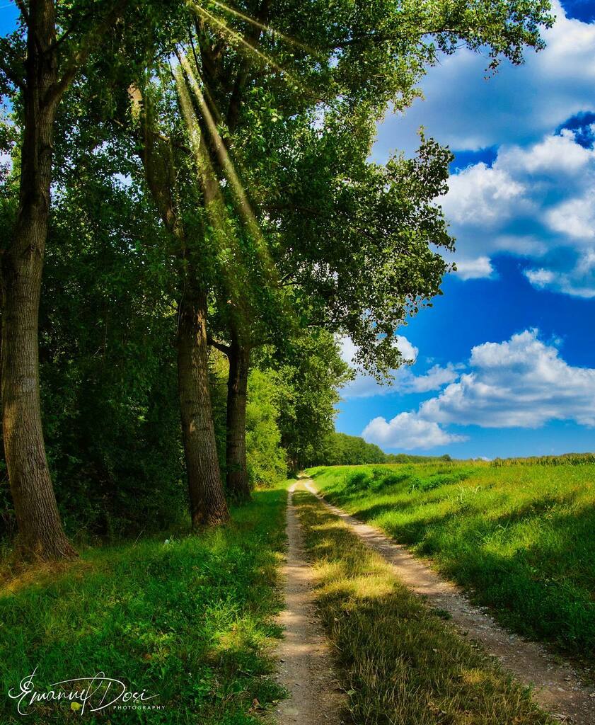 emanuel_foto's tweet photo. 📅 25/07/2021 🌳 ☀️ ⛅️ 🚜 

📍Campagna cremonese 🇮🇹 
📷Sony ZV1 
 
#cremona #cremonacircuit #cremonacentro #cremonacity #cremonainfopoint #cremonamusica #cremonaviolins #igerscremona #pianurapadana #pianura #landscape #landscapephotography #landscapes… https://t.co/uYaQrNzYLS https://t.co/bTskRx7jMN