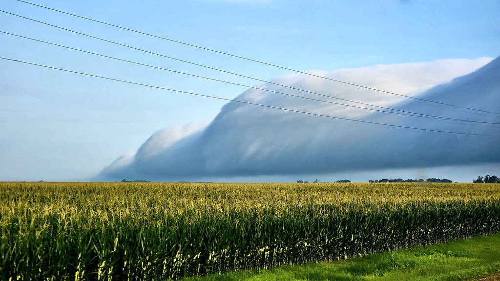 RT @mark_tarello: WOW! Roll cloud seen Saturday morning from Mapleton, Minnesota. Photo courtesy of Adam Loos. #MNwx https://t.co/zpXczG8Val