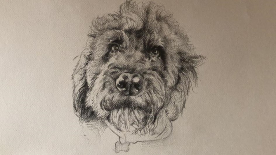 ElOpitimista's tweet photo. Este Agosto estaré haciendo retratos de mascotas a lápiz. En A3 y por encargo. Puedo hacer envíos por toda España. Agradecería un RT para que llegue al máximo de gente posible, muchas gracias gente guapa. MD para mas info. https://t.co/blfrZFtKWB