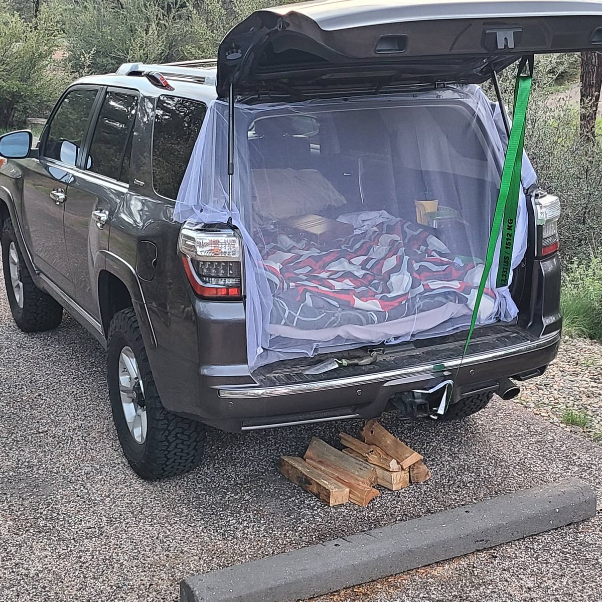 GallianoTaylor's tweet photo. Can't beat this great weekend's getaway minus the friendly critter. #4Runner #camping #bliss https://t.co/2X5niJsONu