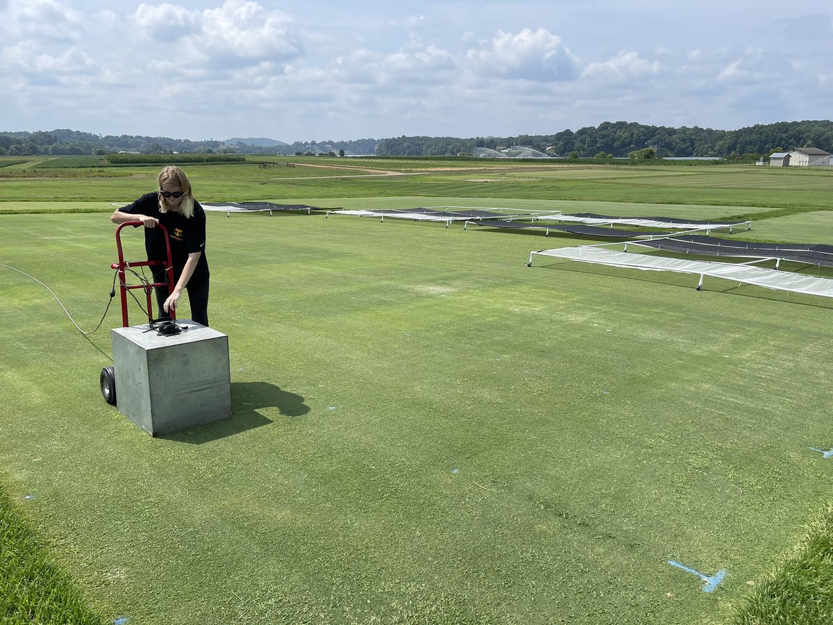 .@UTPlantSciences undergraduate student, Brynn Johnson (@brynn_a_johnson), collecting data from our @USGAGrnSection funded PGR trial in collaboration with @ArkansasTurf cc:@UT_Herbert @ugradresearch