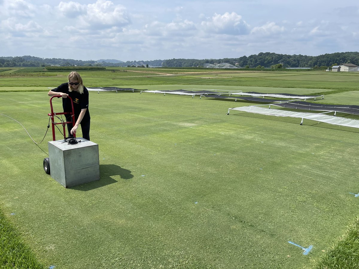 UTTurfWeeds's tweet photo. .@UTPlantSciences undergraduate student, Brynn Johnson (@brynn_a_johnson), collecting data from our @USGAGrnSection funded PGR trial in collaboration with @ArkansasTurf cc:@UT_Herbert @ugradresearch https://t.co/0bZqJoDvTH