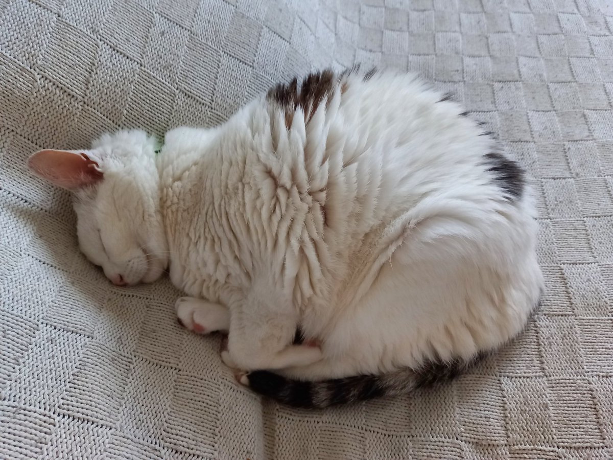 chat sexe saint etienne du rouvray