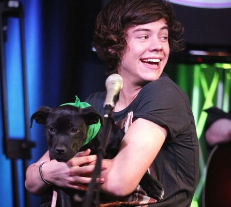 elinellabru's tweet photo. @BorisMalik_ #BorisLovesDirectioners and I love Boris https://t.co/ohct3LbzY9