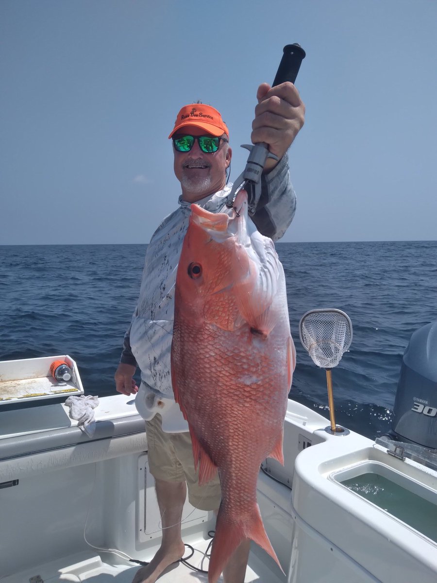 Gulf Assassin tweet media