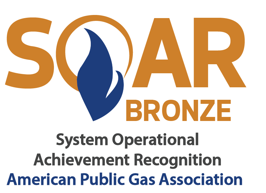 APGA's tweet photo. Congratulations to @CCNGA1 (Chester County Natural Gas Authority, SC) on their 2021 APGA BRONZE System Operational Achievement Recognition (SOAR) Award win! To achieve bronze status, a system must get 80-89% of all possible points. More about SOAR: https://t.co/Bp3XCXi0Yv https://t.co/enflTje8Ql
