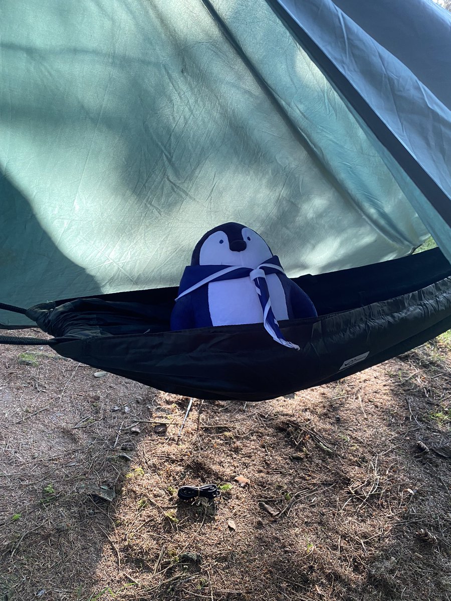 Laura Mills tweet media