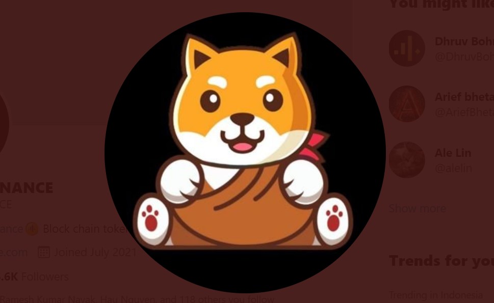 Airdrops Angel 💦 tweet media