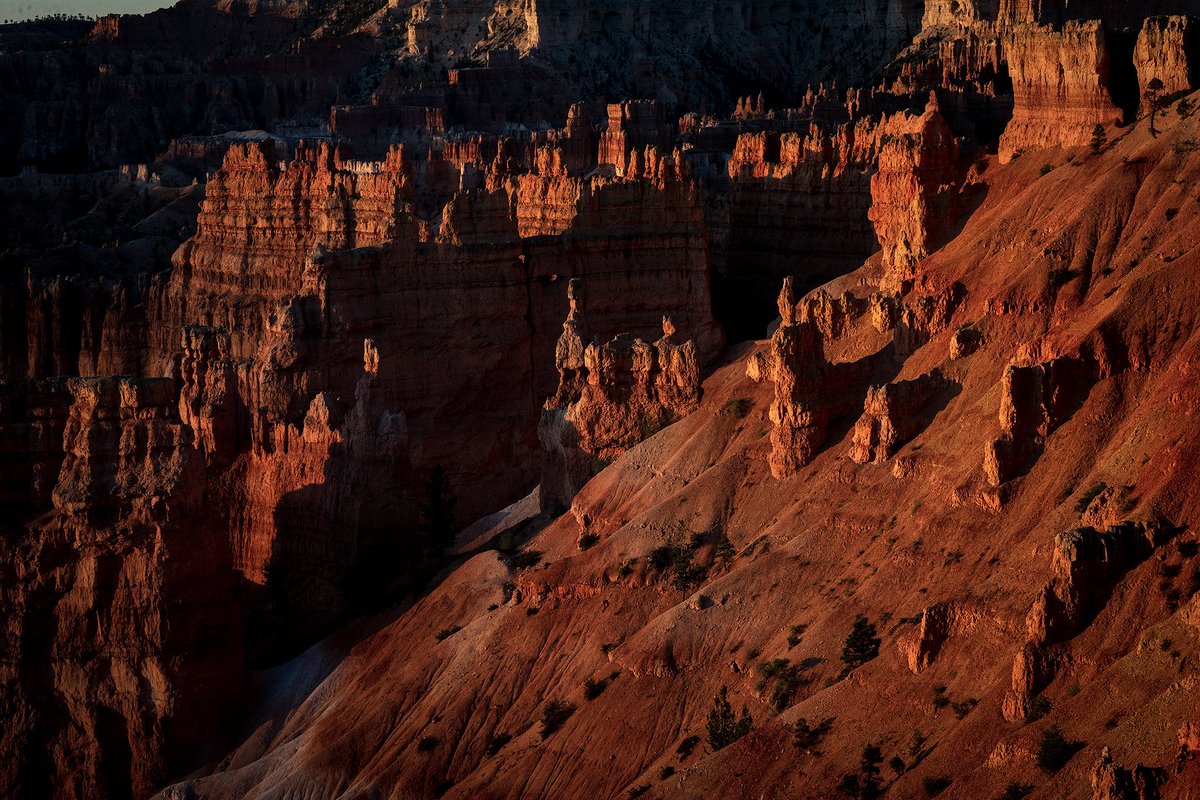 AkshayaVaradha's tweet photo. The hoodoos in Bryce Canyon are a photographer's paradise, especially during the magic hour when the sunlight illuminates these ornate features. The synergy of light and shadows allows for plenty of interesting compositions. 

@BryceCanyonNPS @PNYTechnologies @SonyAlpha https://t.co/sw0LhfOe94