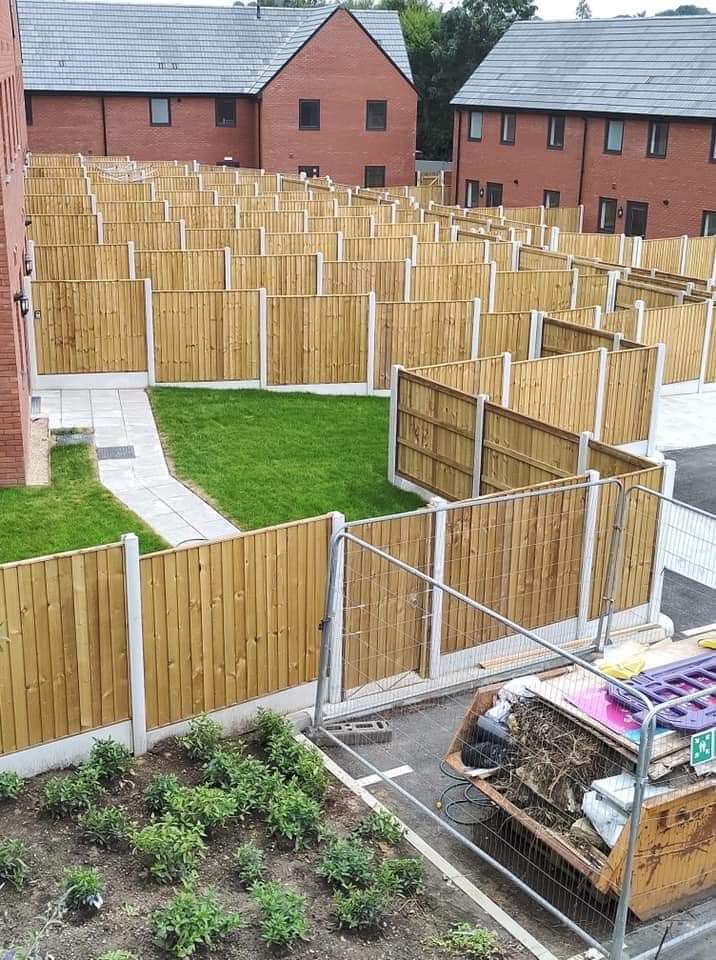 Shit Planning tweet media