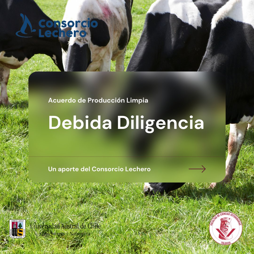 VeterinariaUACh's tweet photo. Revisa las acciones tomadas por las empresas adheridas al APL Industria Láctea Procesadora Sustentable junto al @ConsorcioLecher bajo el concepto de #DebidaDiligencia para velar por producciones más limpias en la industria. https://t.co/NPXdlHzAxV https://t.co/j44AYNKRwI
