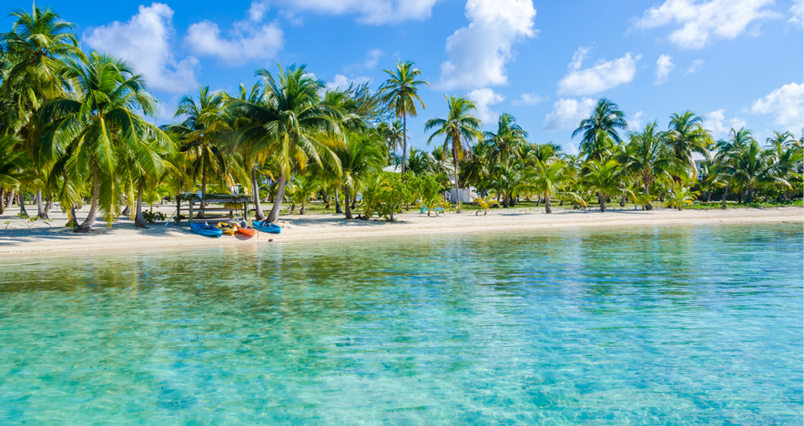 Gallagher Travel tweet media