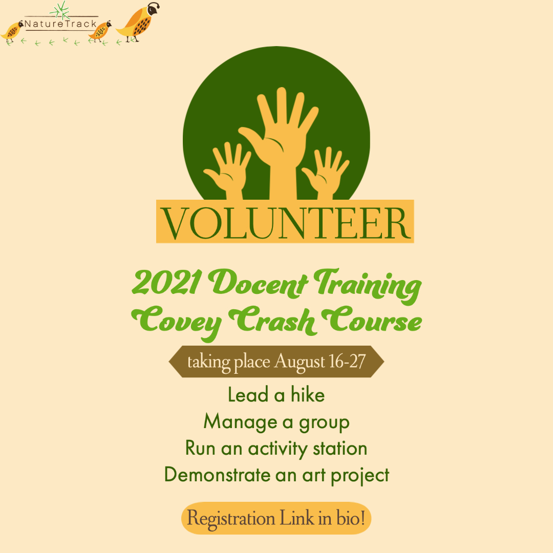 NatureTrackers's tweet photo. The 2021 Docent Training Covey Crash Course, taking place August 16-27, is now open for registration! Classes are available to new volunteers and returning docents. Click the link below to sign up ⬇️
https://t.co/czZmZrEesa https://t.co/Y5teZZkMsz