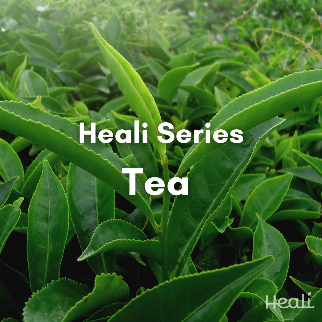 Tea is an aromatic beverage that is widely consumed in various parts of the world. All the three most popular types of tea – green, black, and oolong – are manufactured from the leaves of the plant Camellia sinensis. Other than these, there are also some other variations of tea.