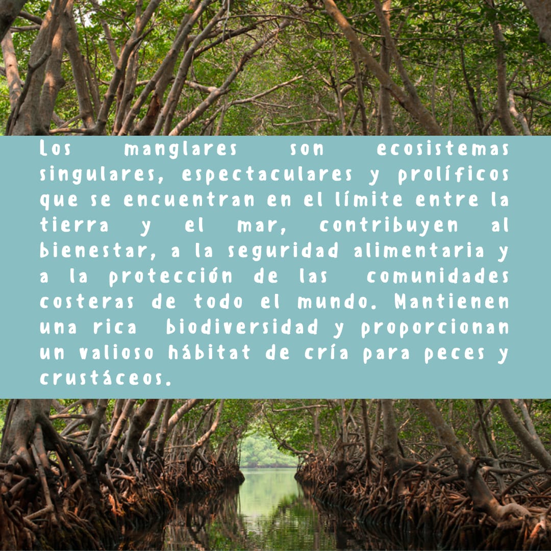 EmbajadaPAC tweet picture