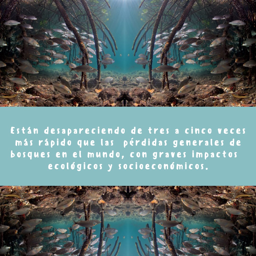 EmbajadaPAC tweet picture