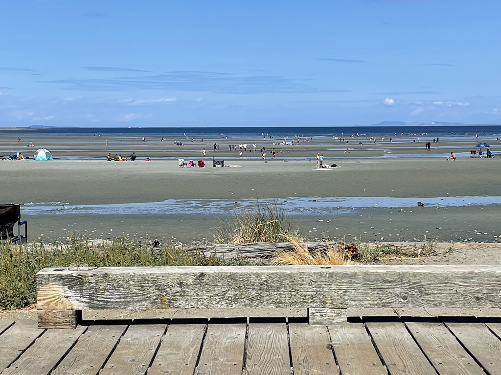 craywind's tweet image. Day 16. Low tide. SUPing on the sand