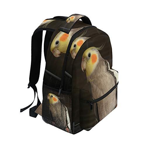 Luggage_Factory's tweet image. Backpack Travel Cockatiel Wire Bird Cage School Bookbags Shoulder Laptop Daypack College Bag for 
luggagefactory.com/products/backp… 
FengYe 
#backpacks #computerbackpacks #fengye #closeouts #luggage