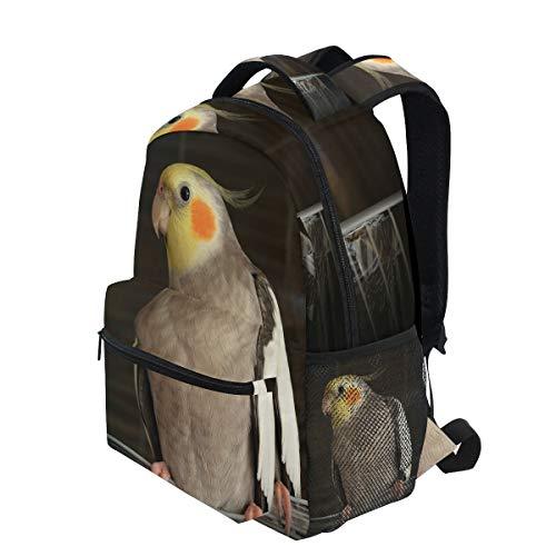 Luggage_Factory's tweet image. Backpack Travel Cockatiel Wire Bird Cage School Bookbags Shoulder Laptop Daypack College Bag for 
luggagefactory.com/products/backp… 
FengYe 
#backpacks #computerbackpacks #fengye #closeouts #luggage