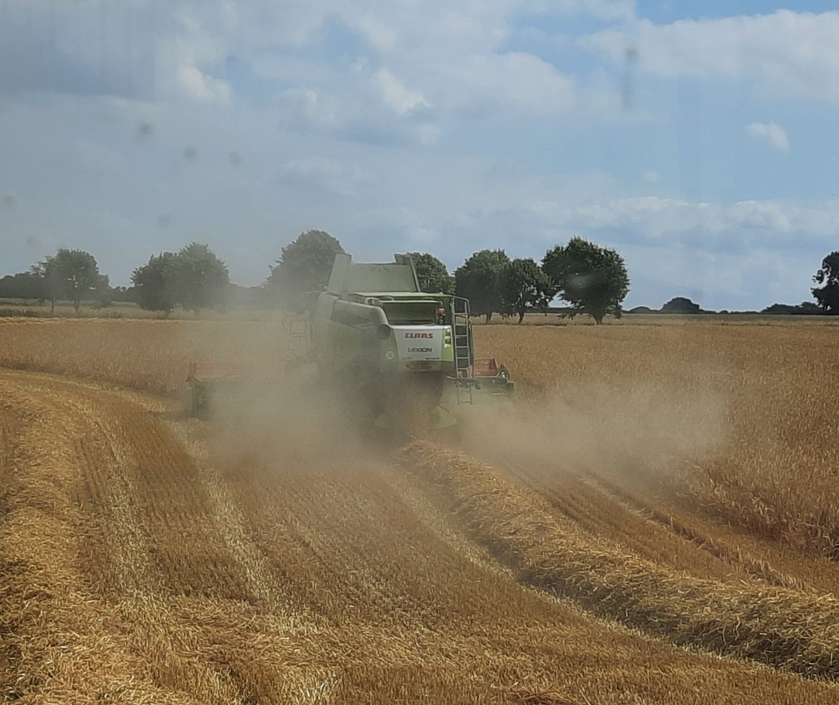 Nice day for 1st time out this year
@SyngentaCropsUK libra coming in really dry and bold. Not just as much straw as we'd hoped for