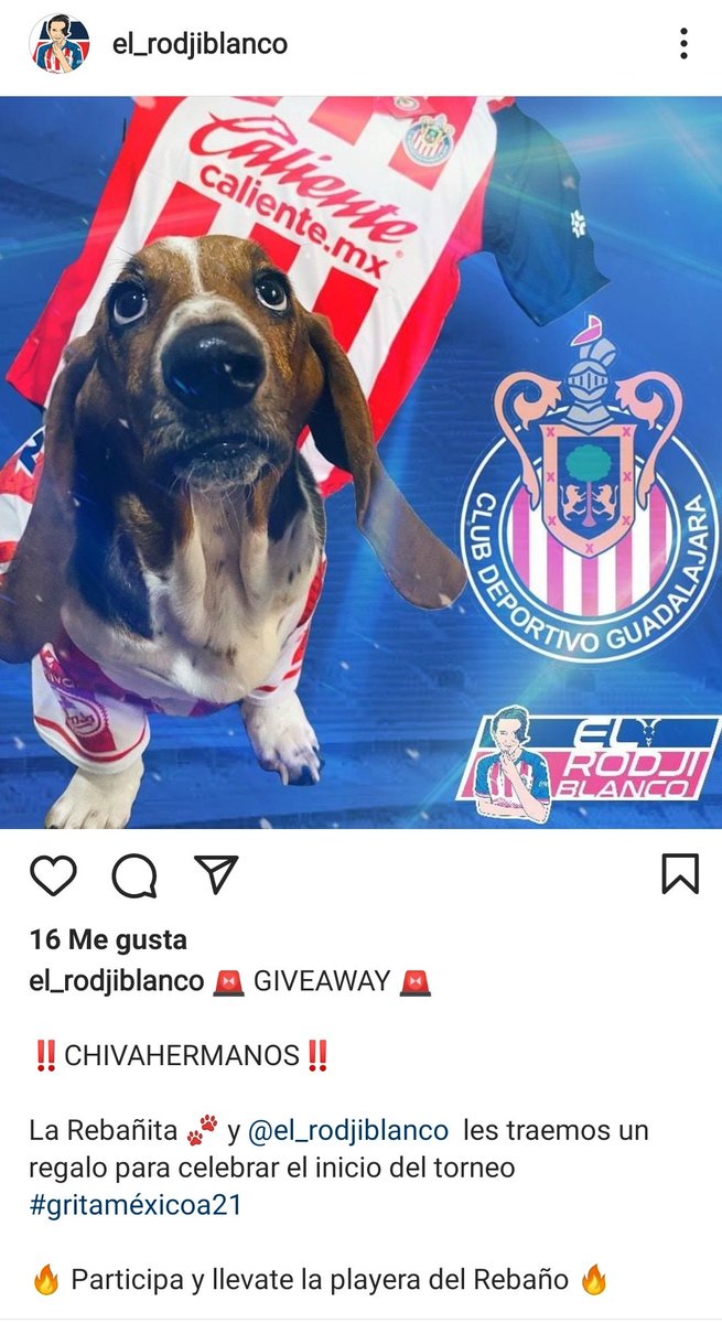 itzel_dharani's tweet photo. Ganate la playera de Chivas, solo tienes que seguir en Instagram a @el_rodjiblanco

@Chivas @ChivasFemenil #Chivas #Instagram #SiguemeYTeSigo https://t.co/NjV2QWIZkK