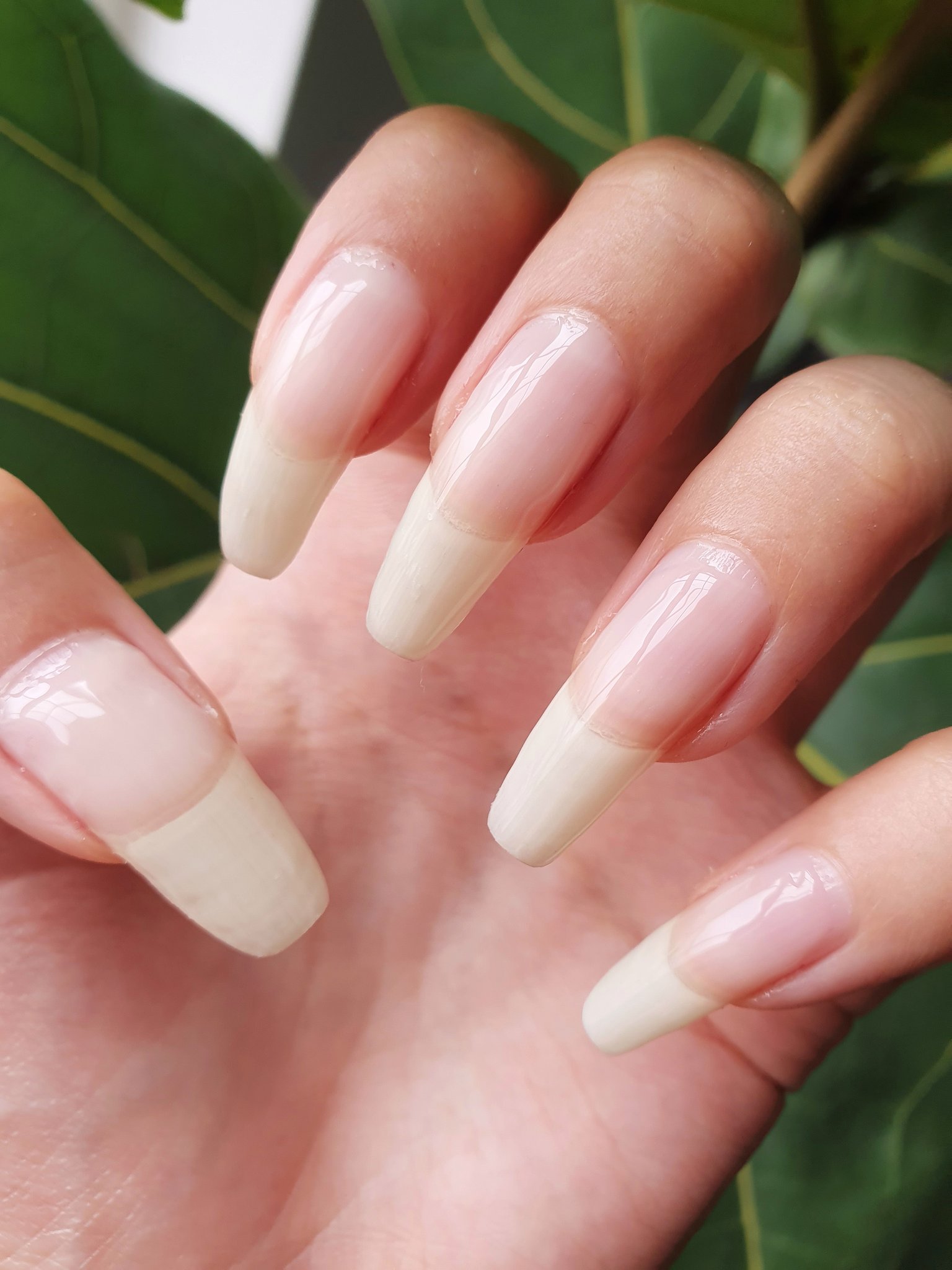 Glamour woman hand with nude nail polish on her fingernails. Nude shade nail  manicure with gel polish at luxury beauty salon. Nail art and design.  Female hand model. French manicure. Generative AI.