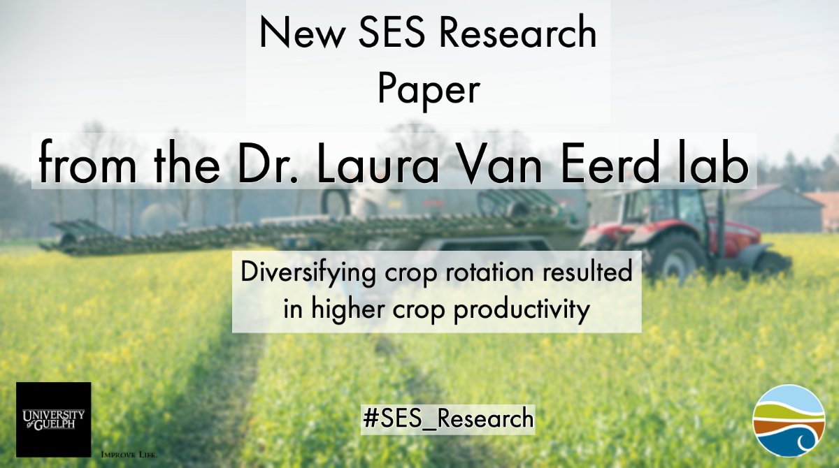 UofG_SES's tweet photo. New #SES_research from our own Dr. Inderjot Chahal working with Dr. @LauraVanEerd and collaborators.
Results from long-term crop trial @RidgetownCampus and Elora show that diversifying crop rotation increases #soil microbial activity and #crop yield.
https://t.co/Wt9LBZAKdj https://t.co/OAmynD7tMv
