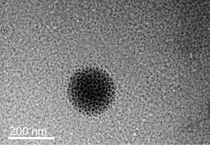 ThINC_SBU's tweet photo. Is your research related to #Virology ? In today's #ThINCtools series, we'd like to introduce Cryo-TEM imaging with our #JEOL Jem 1400 Transmission Electron Microscope (#TEM).
#ThINCSBU houses the Thermal Fisher Vitrobot, which enables vitrification that forms an amorphous... https://t.co/rgUaoFacTB