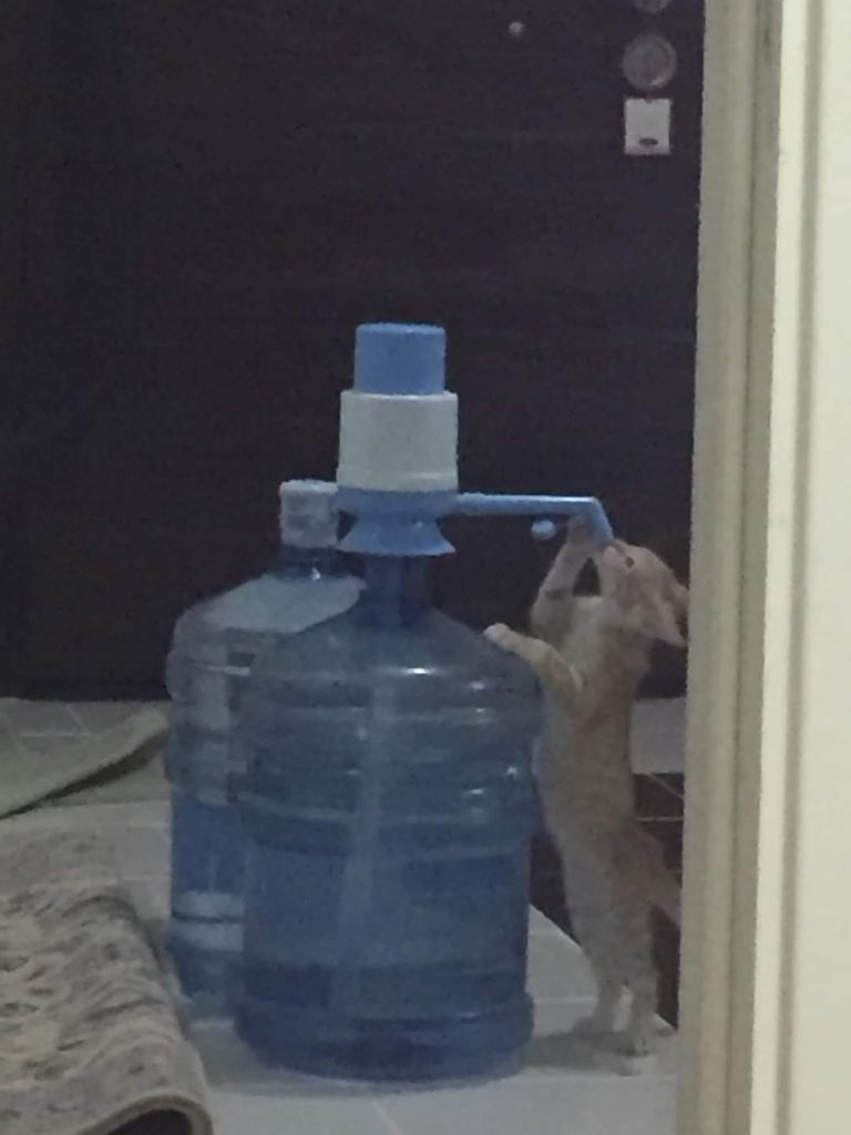 pice bakin ya herkesin ictigi yere gidip agzini degdirdi