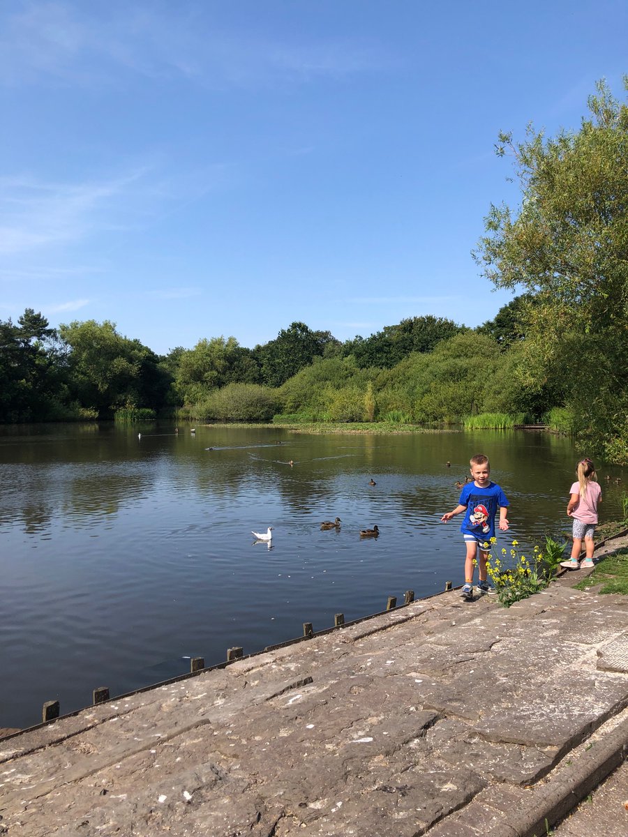 BennettBunchHQ's tweet photo. Park day for the Bennett Bunch!!!
🍦☀️🦆
#Summer2021 https://t.co/aZrshtwJSO