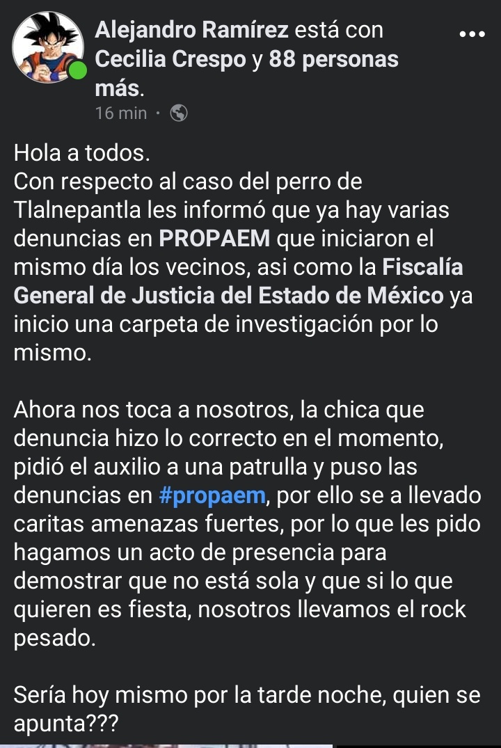 MeowWorkshop's tweet photo. La persona que tomo el vídeo e hizo la denuncia ya hizo lo más difícil, ahora ella nos necesita pues ya está recibiendo amenazas, si no puedes apoyar den RT #Tlalnepantla  @MascotasSismo  sigo sin verlos difundiendo https://t.co/UzExkm86Sk