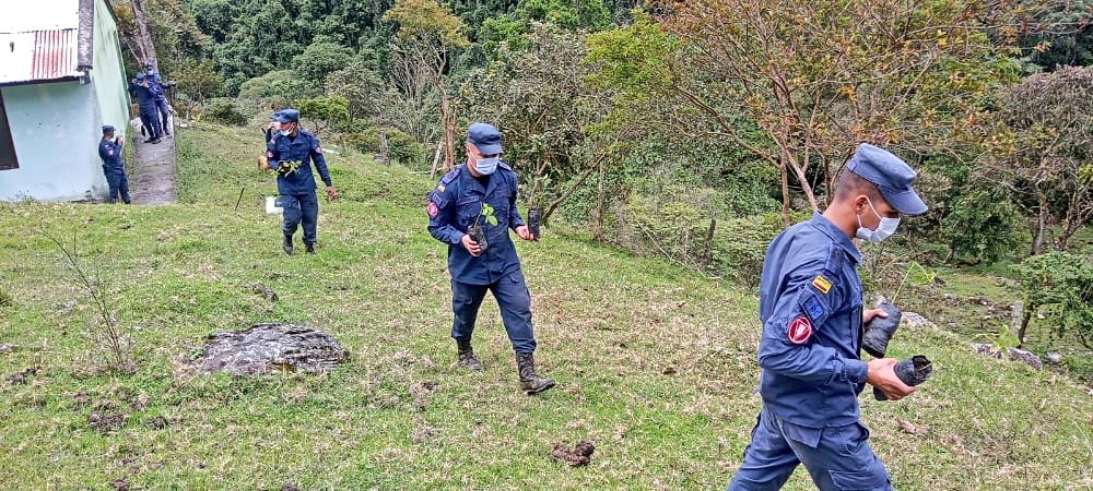 Ejercito_Div5's tweet photo. El #DesminadoHumanitario2 adscritos a la #SextaBrigada del @COL_EJERCITO, en cumplimiento de #OperaciónArtemisa y apoyo a la comunidad de la vereda La Aurora de #Chaparral, sembraron 300 plantas de Búcaro, con el fin de repoblar  y recuperar zonas deforestadas. https://t.co/tzNEb6x2H5