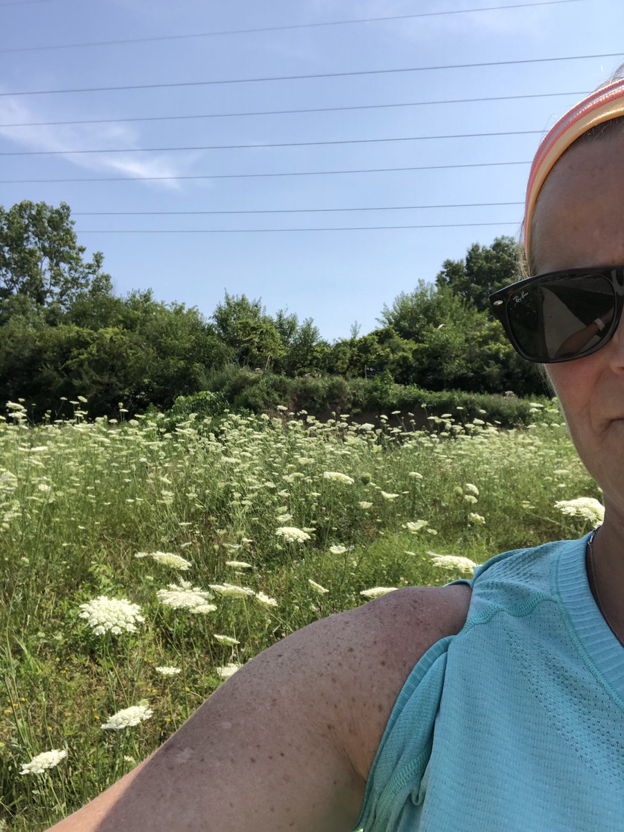Anouk Bonnewit Weiss tweet media