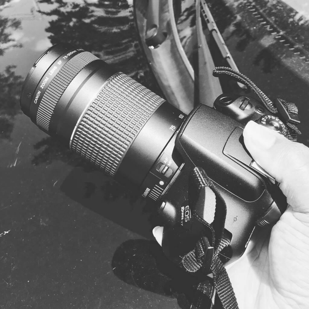 KennyFresh1025's tweet photo. Issa long range type of day. #canonphotography #canon #photography #blackphotographer #midwest #indiana #kentucky #louisville #refresherpoint #freshfotos https://t.co/ijO1D9LJXq https://t.co/piBwf7JGO1