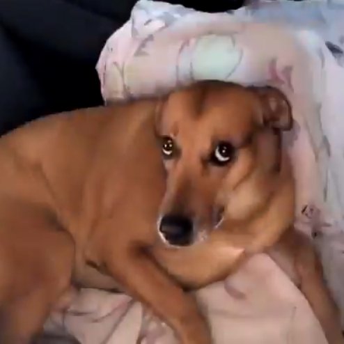 cresswhore's tweet image. — monte seu look versão roupas bonitas pq não aguento mais sair igual uma baranga nesses jogos; a thread 😝🤘🏻