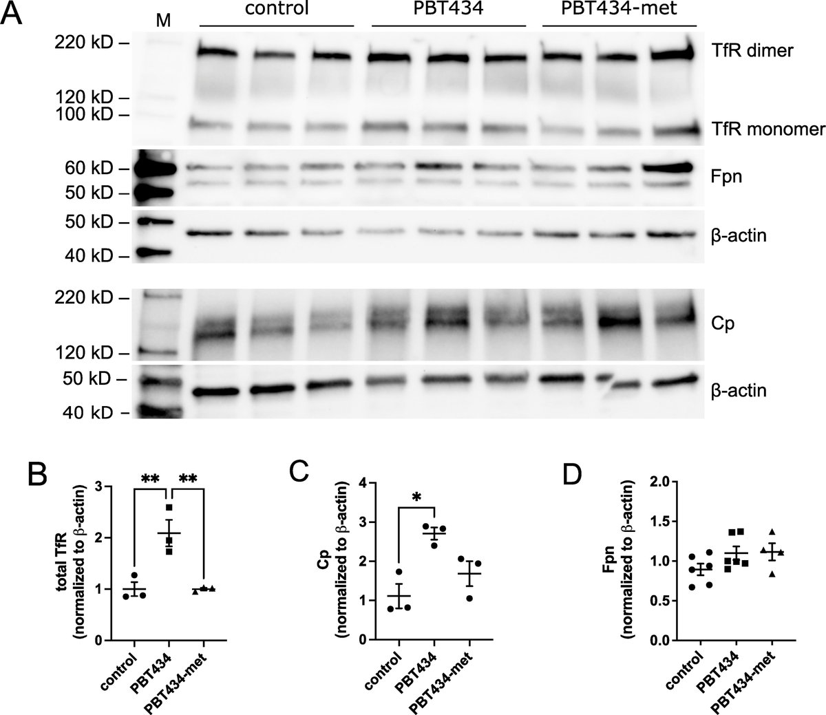 The Science of Parkinson's tweet media