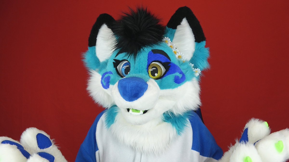 🦊stormifolf.bsky.social🐺 tweet media