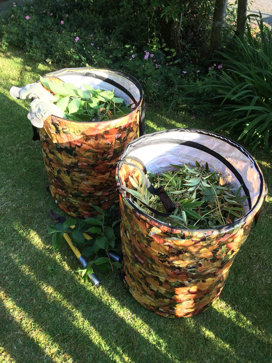 After some more gardening ☺️
🌿🌸🐝👩🏻‍🌾🌿🌺👨🏻‍🌾🌿🦋🌿
#TheRemainsOfTheDay #SunnyDay #InOurGarden #BeeFriendly #WildlifeGarden #July #Pruning #Gardening #ConnectWithNature #EmbraceTheSeasons #DocumentYourDays #Summer #InMyGarden #MyGardenSanctuary #MyGarden #GardenWaste #Recycling ♻️