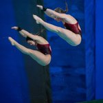 Photo by DivingPlongeonCanada (@DivingCanada)