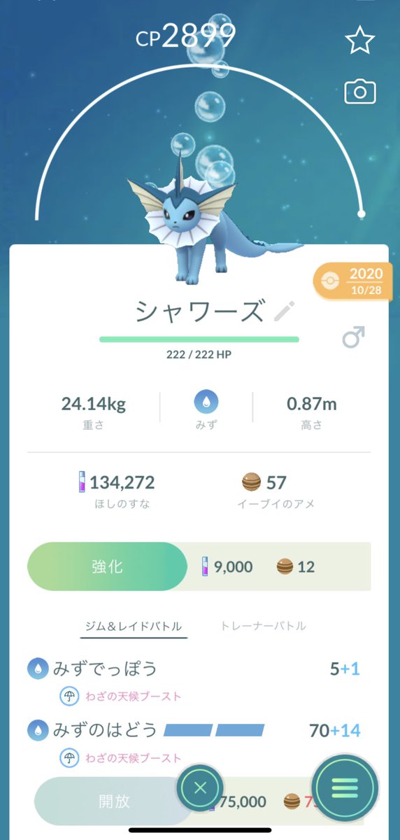 ポケモンgo 強いポケモン シャワーズ Twitter Search ポケモンgo 強いポケモン シャワーズ Twitter Search