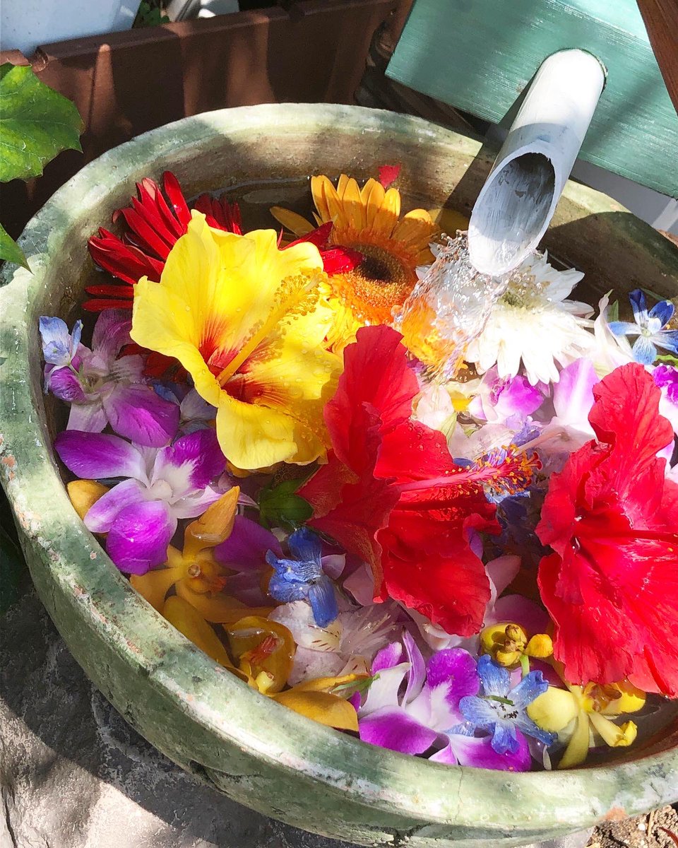 Strawberry Feilds Kingnobu7 Twitter