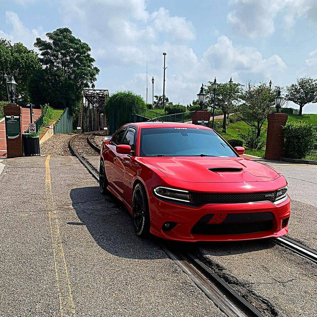 KooksHeaders's tweet photo. Gotta start the week off right with #moparmonday! Check out this #kooksequipped Scat Pack 392 from @redrumblebee392 .... coming in with the ๐ฅ
๐ธ : @redrumblebee392
Equipped with Kooks long tube headers
#getkookin'๐ฅ #Kooksheaders #getkookingwithkooks #KooksEquiped #MOPAR https://t.co/LaWk3TZVvO